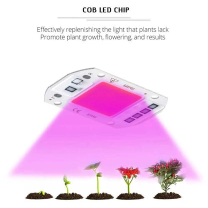 New220V 110V Full Spectrum LED Grow Light COB Chip 50W 30W 20W LED Beads DI