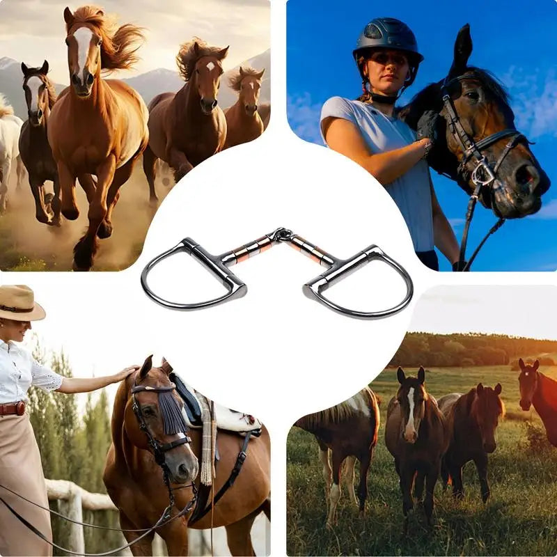 PC D Ring Horse Bit Copper Roller Mouth Horse Bit Single Joint Horse Bit D-