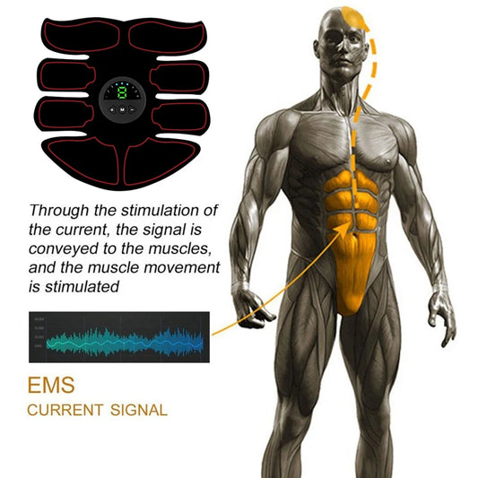 PC EMS Abdominal Muscle Stimulator Toner For Waist Leg Arm Trainer USB Rech