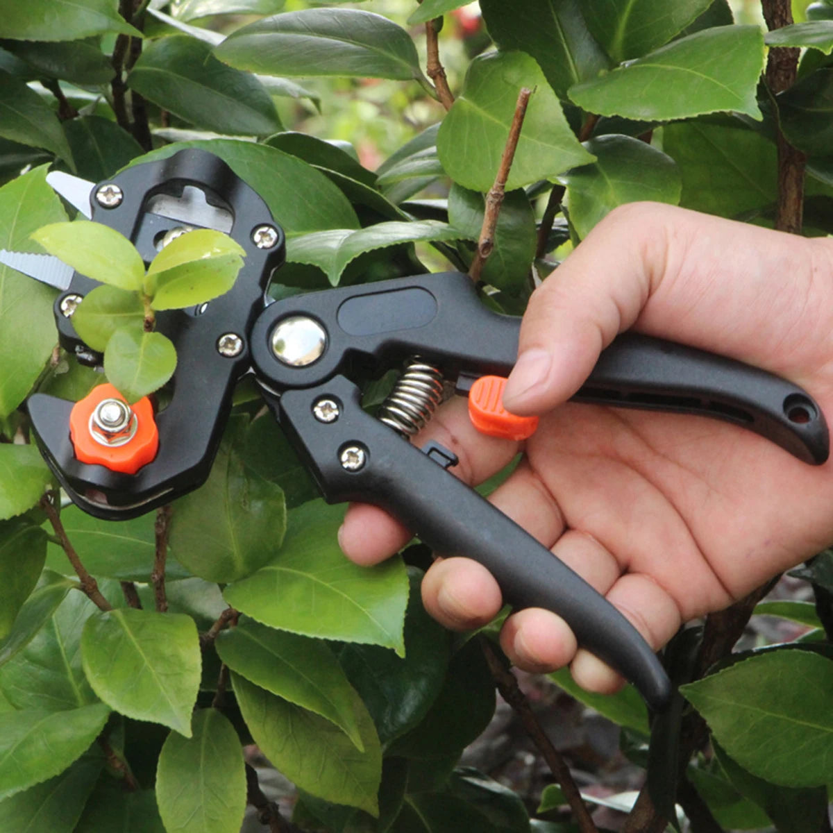 Grafting Pruner Garden Tool Branch Cutter Secateur Pruning Plant Shears Boxes Fruit Tree Scissor Chopper Vaccination Cut