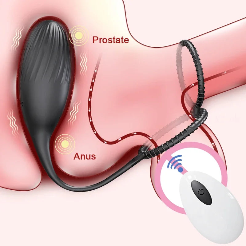 GtoozaProstate Massager With Cockring Vibrating  APP  Wireless Remote Sex Toys Men Ass Anal   Women gtooza.com