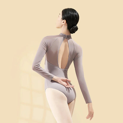 Women Ballet Leotards High Neck Button Gym Dance Leotards Velvet Patchwork Adult Ballerina Long Sleeve Dancing Bodysuit Costume gtooza.com