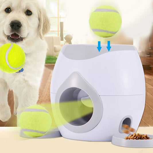 Nouveau jouet de machine de récompense de tennis pour chien de compagnie, lanceur de balle pour animal de compagnie, jouet d'entraînement IQ pour