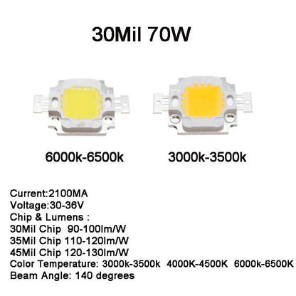 NewLight Beads 10W 20W 30W 50W 70w 80w 100W COB LED light Chip 32-36V COB I