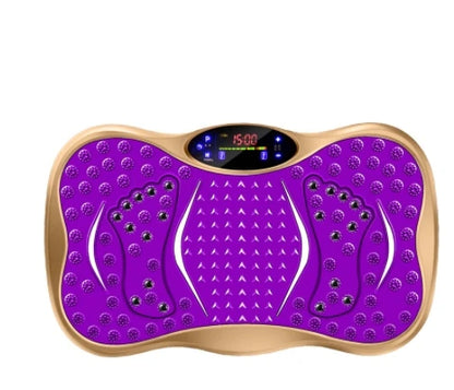 PC vibration plate vibrating platm with magnetic therapy exercise fitness